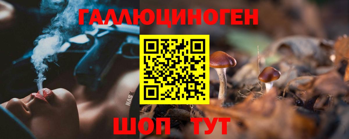 Галлюциногенные грибы Psilocybine cubensis Добрянка